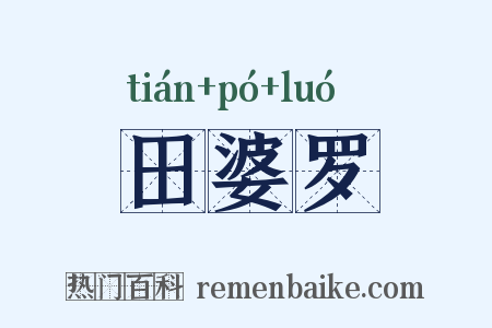 田婆罗是什么意思的图片